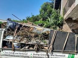 Best Property Management Cleanouts  in Alva, OK